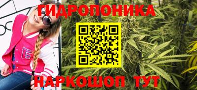 стаф Краснокаменск