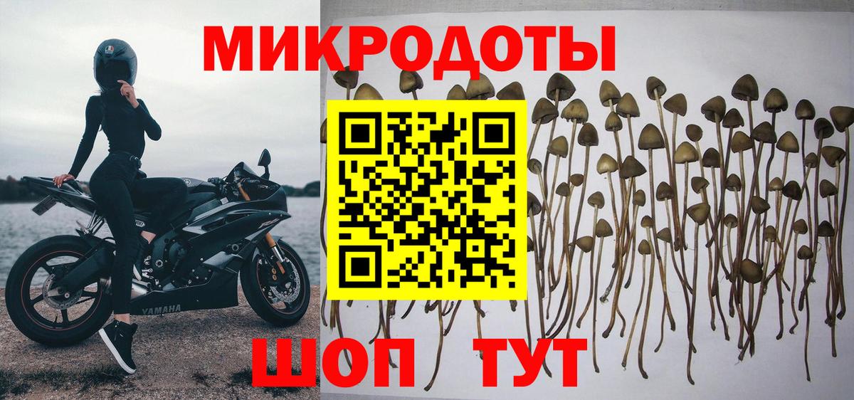 Галлюциногенные грибы ЛСД Старая Купавна