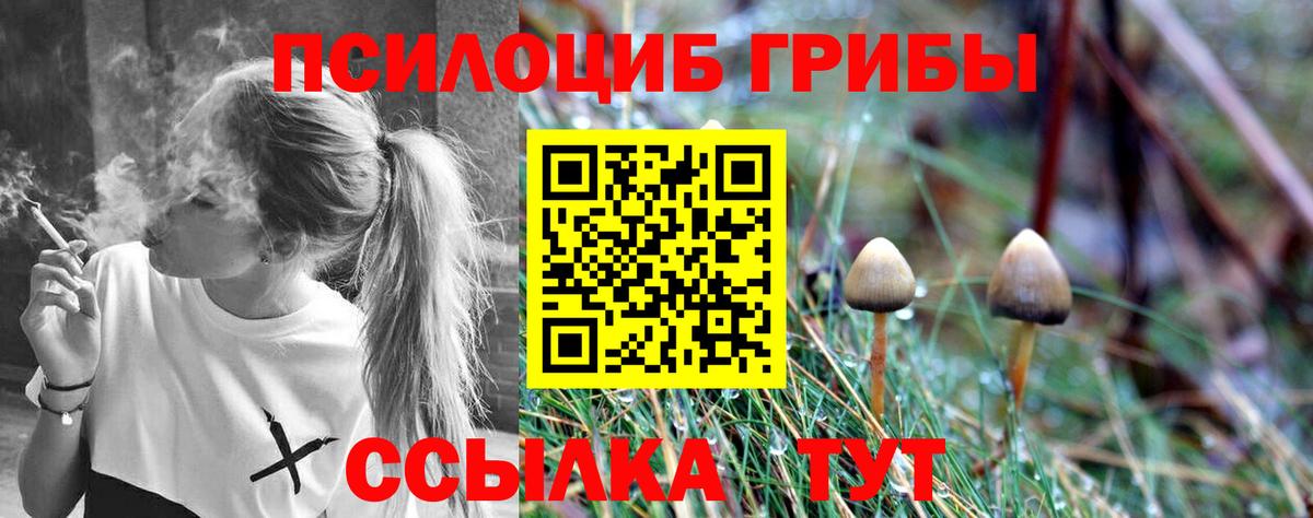 Галлюциногенные грибы мухоморы  Вход с VPN  Старая Купавна 